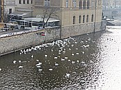 Foto SP_2014_01504: Prag / 25.01.2014