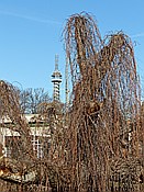ID: 209: Prag / 23.02.2014