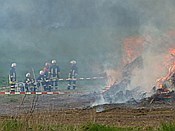 ID: 209: Osterfeuer / Westhofen / 19.04.2014