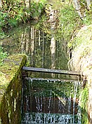 Foto SP_2014_05103: Spaziergang / Sachsengrund / 01.05.2014