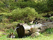 Foto SP_2014_05105: Rundwanderung / Sachsengrund / 04.05.2014