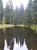 Foto SP_2014_05107: Rundwanderung / Sachsengrund / 04.05.2014