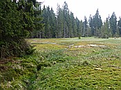 Foto SP_2014_05115: Rundwanderung / Sachsengrund / 04.05.2014