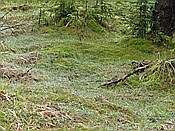 Foto SP_2014_05119: Rundwanderung / Sachsengrund / 04.05.2014