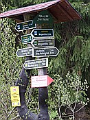 Foto SP_2014_05125: Rundwanderung / Sachsengrund / 04.05.2014
