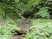 Foto SP_2014_05170: Wanderung / Lodenice - Karlstejn - Lodenice / 08.05.2014