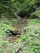 Foto SP_2014_05171: Wanderung / Lodenice - Karlstejn - Lodenice / 08.05.2014