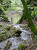 Foto SP_2014_05173: Wanderung / Lodenice - Karlstejn - Lodenice / 08.05.2014