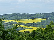 ID: 209: Wanderung / Lodenice - Karlstejn - Lodenice / 08.05.2014