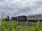 Foto SP_2014_05854: 01 202 / Neustadt / 01.06.2014
