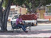 ID: 209: Obst+Gemueseverkauf / Santo Domingo / 10.06.2014