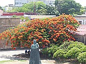 ID: 209: Festungsmuseum / Santo Domingo / 10.06.2014
