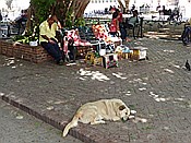 ID: 209: Altstadtszenen / Santo Domingo / 10.06.2014