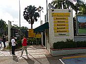 ID: 209: Botanischer Garten / Santo Domingo / 11.06.2014