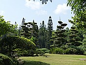 ID: 209: Botanischer Garten / Santo Domingo / 11.06.2014
