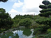 ID: 209: Botanischer Garten / Santo Domingo / 11.06.2014