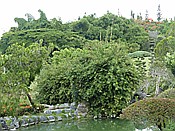 ID: 209: Botanischer Garten / Santo Domingo / 11.06.2014