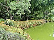 ID: 209: Botanischer Garten / Santo Domingo / 11.06.2014