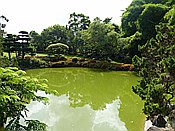 ID: 209: Botanischer Garten / Santo Domingo / 11.06.2014