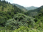 ID: 209: Tour / Jarabacoa / 11.06.2014