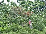 ID: 209: Tour / Jarabacoa / 11.06.2014