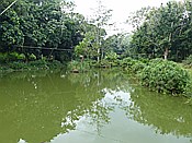 ID: 209: Rancho Baiguate / Jarabacoa / 11.06.2014
