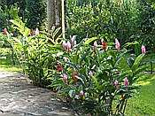 ID: 209: Rancho Baiguate / Jaracaboa / 12.06.2014