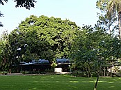 ID: 209: Rancho Baiguate / Jaracaboa / 12.06.2014