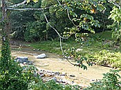 ID: 209: Rancho Baiguate / Jaracaboa / 12.06.2014