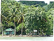 ID: 209: Nationalpark / Los Haitises / 13.06.2014