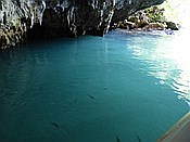ID: 209: Nationalpark / Los Haitises / 13.06.2014