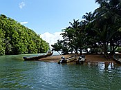 ID: 209: Nationalpark / Los Haitises / 13.06.2014