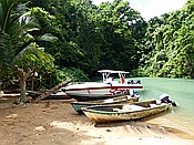 ID: 209: Nationalpark / Los Haitises / 13.06.2014