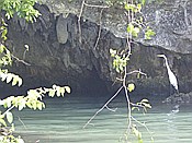 ID: 209: Nationalpark / Los Haitises / 13.06.2014