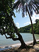 ID: 209: Nationalpark / Los Haitises / 13.06.2014