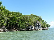 ID: 209: Nationalpark / Los Haitises / 13.06.2014