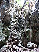 ID: 209: Nationalpark / Los Haitises / 13.06.2014