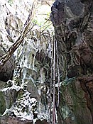 ID: 209: Nationalpark / Los Haitises / 13.06.2014