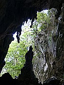 ID: 209: Nationalpark / Los Haitises / 13.06.2014