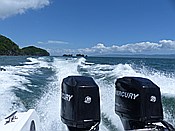 ID: 209: Nationalpark / Los Haitises / 13.06.2014