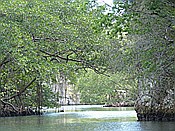 ID: 209: Nationalpark / Los Haitises / 13.06.2014