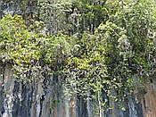 ID: 209: Nationalpark / Los Haitises / 13.06.2014