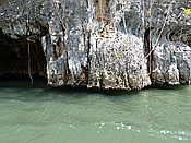 ID: 209: Nationalpark / Los Haitises / 13.06.2014