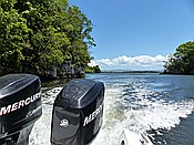 ID: 209: Nationalpark / Los Haitises / 13.06.2014