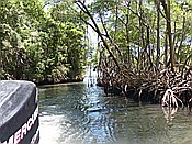 ID: 209: Nationalpark / Los Haitises / 13.06.2014