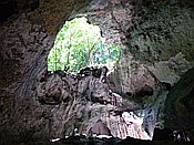 ID: 209: Nationalpark / Los Haitises / 13.06.2014