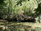 ID: 209: Nationalpark / Los Haitises / 13.06.2014