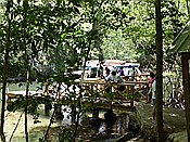ID: 209: Nationalpark / Los Haitises / 13.06.2014