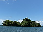 ID: 209: Nationalpark / Los Haitises / 13.06.2014
