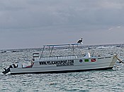 ID: 209: Sonnenaufgang / Punta Cana / 19.06.2014